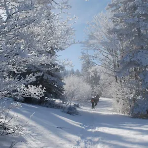 La Taiga Villard-de-Lans